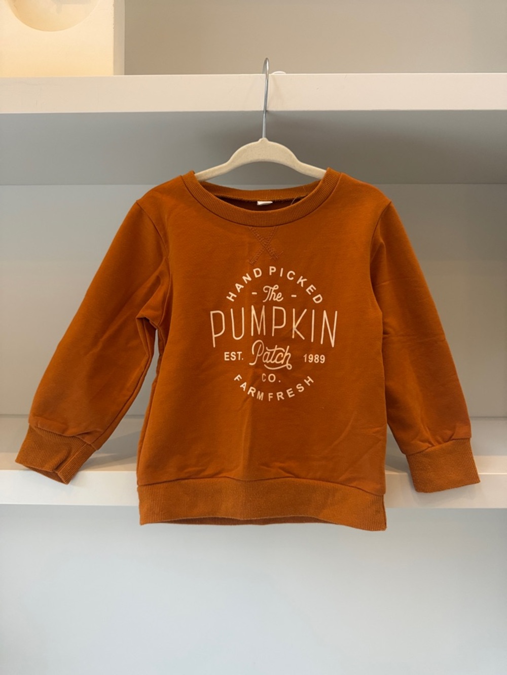 Kids Pumpkin Patch Graphic Sweatshirt - Rust Orange - Picture 2 of 4